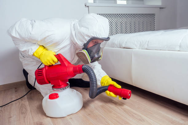 Real Estate Pest Inspections in Wyldwood, TX